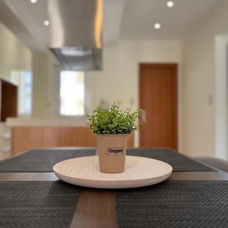 Spacious & Cozy Apartment, With Big Yard, In アパート