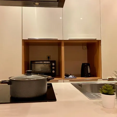 Spacious & Cozy Apartment, With Big Yard, In