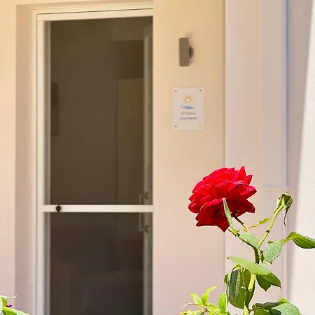 Spacious & Cozy Apartment, With Big Yard, In *