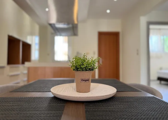 Spacious & Cozy Apartment, With Big Yard, In Lägenhet